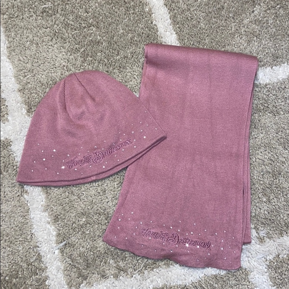 Harley Davidson scarf and toboggan.